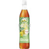 Pfanner Grüner Tee Zitrone-Kaktusfeige Sirup 0,7 l