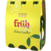 Früh Natur Radler 6×0,33 l