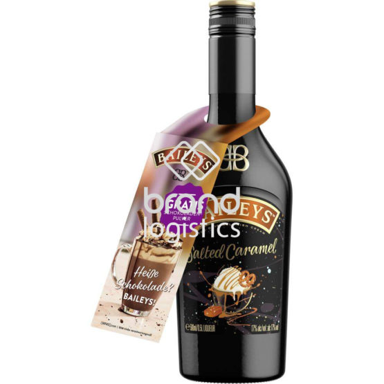 Baileys Salted Caramel Irish Cream Liqueur 17 % vol. 0,5 l mit Heißeschokoladenpulver