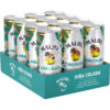 Malibu Pina Colada 10% 12 x 0,25 l DPG