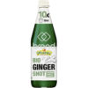 Pfanner Bio Ingwer Shot 0,5 l