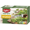 Iglo Junger Spinat 750 g
