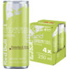 Red Bull Energy Drink Winter Edition, Pistachio & Berries, 4 x 250ml EINWEG E-Commerce