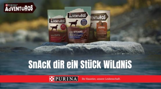 Purina Spot Adventuros 1920x1080
