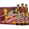 Gambrinus Premium 20×0,5l